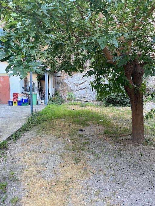 Appt 4 Pers Avec Jardin Ombrage En Centre Ville De Сет Экстерьер фото